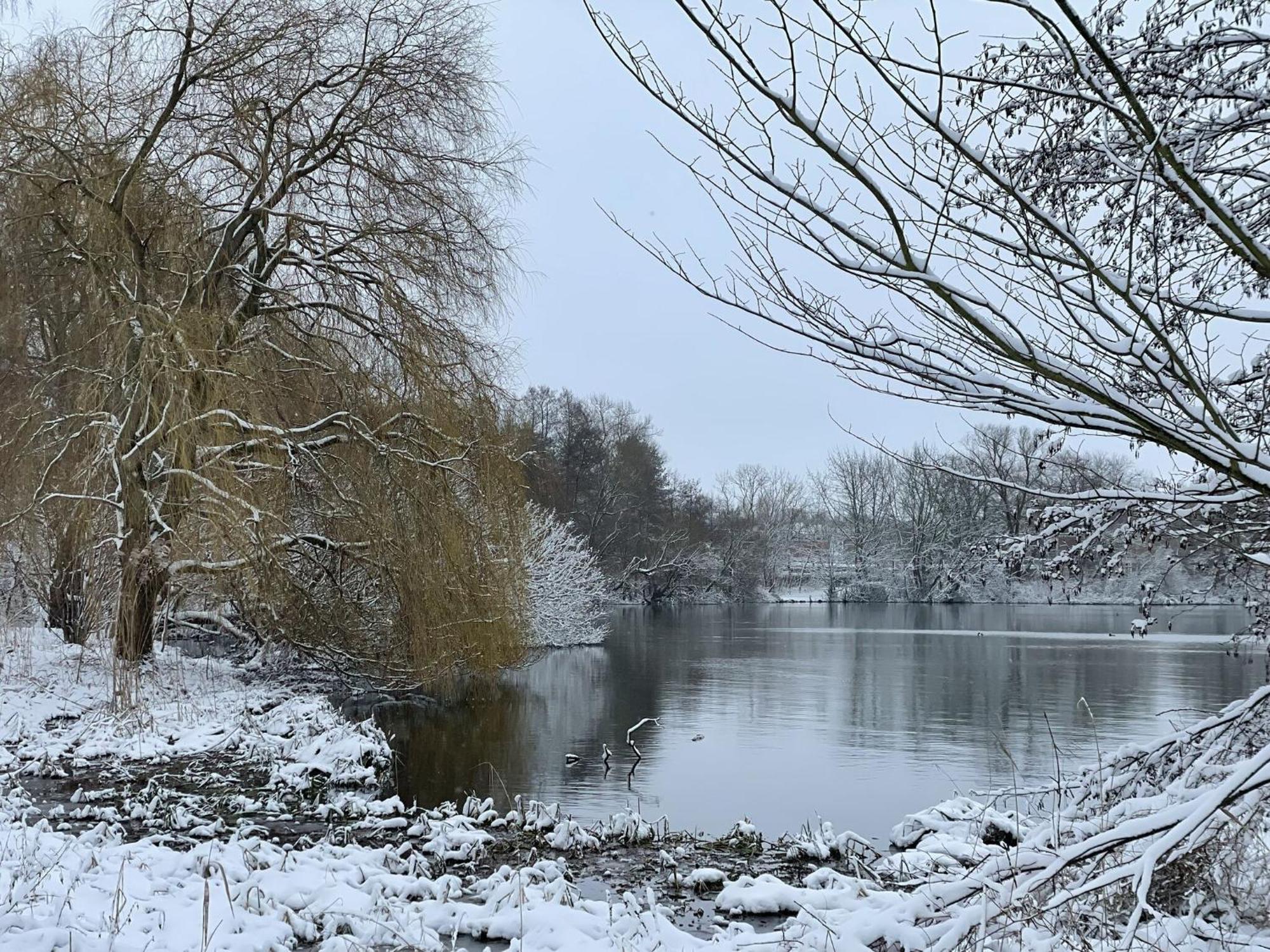 Flat In Eutin On The Kleiner Eutiner See Lake المظهر الخارجي الصورة