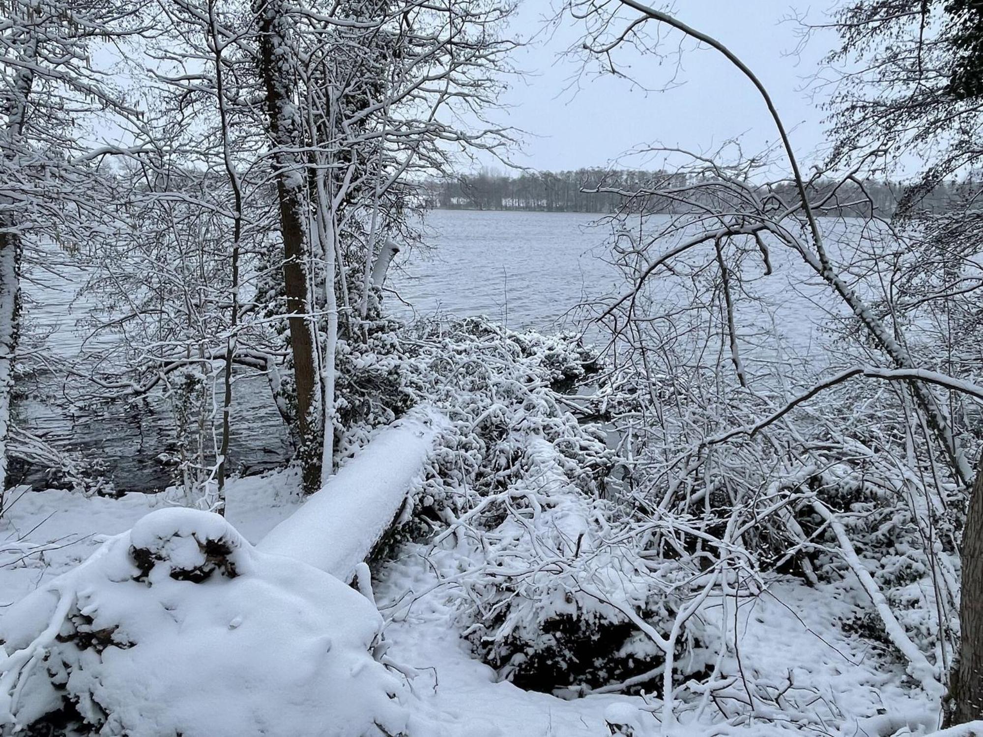 Flat In Eutin On The Kleiner Eutiner See Lake المظهر الخارجي الصورة