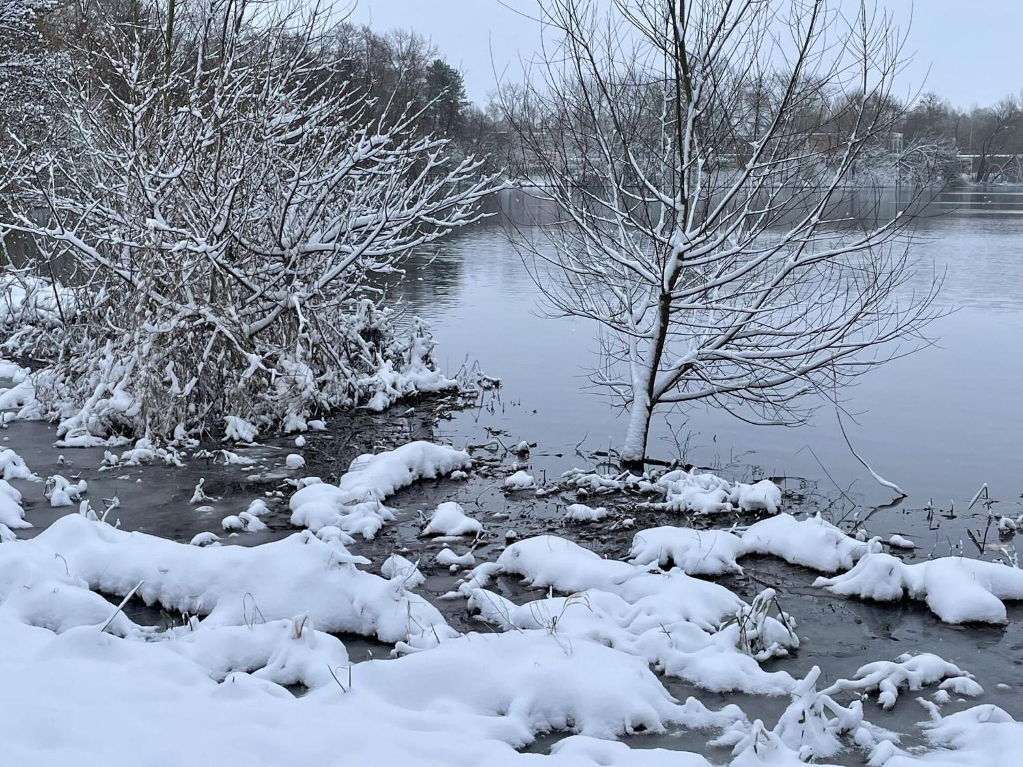 Flat In Eutin On The Kleiner Eutiner See Lake المظهر الخارجي الصورة