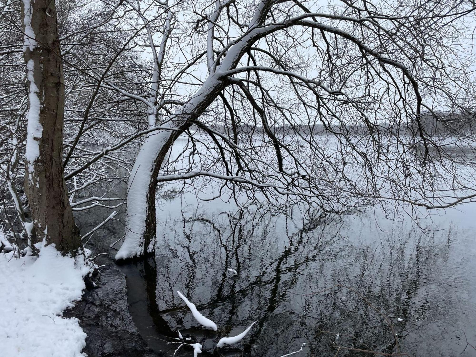 Flat In Eutin On The Kleiner Eutiner See Lake المظهر الخارجي الصورة