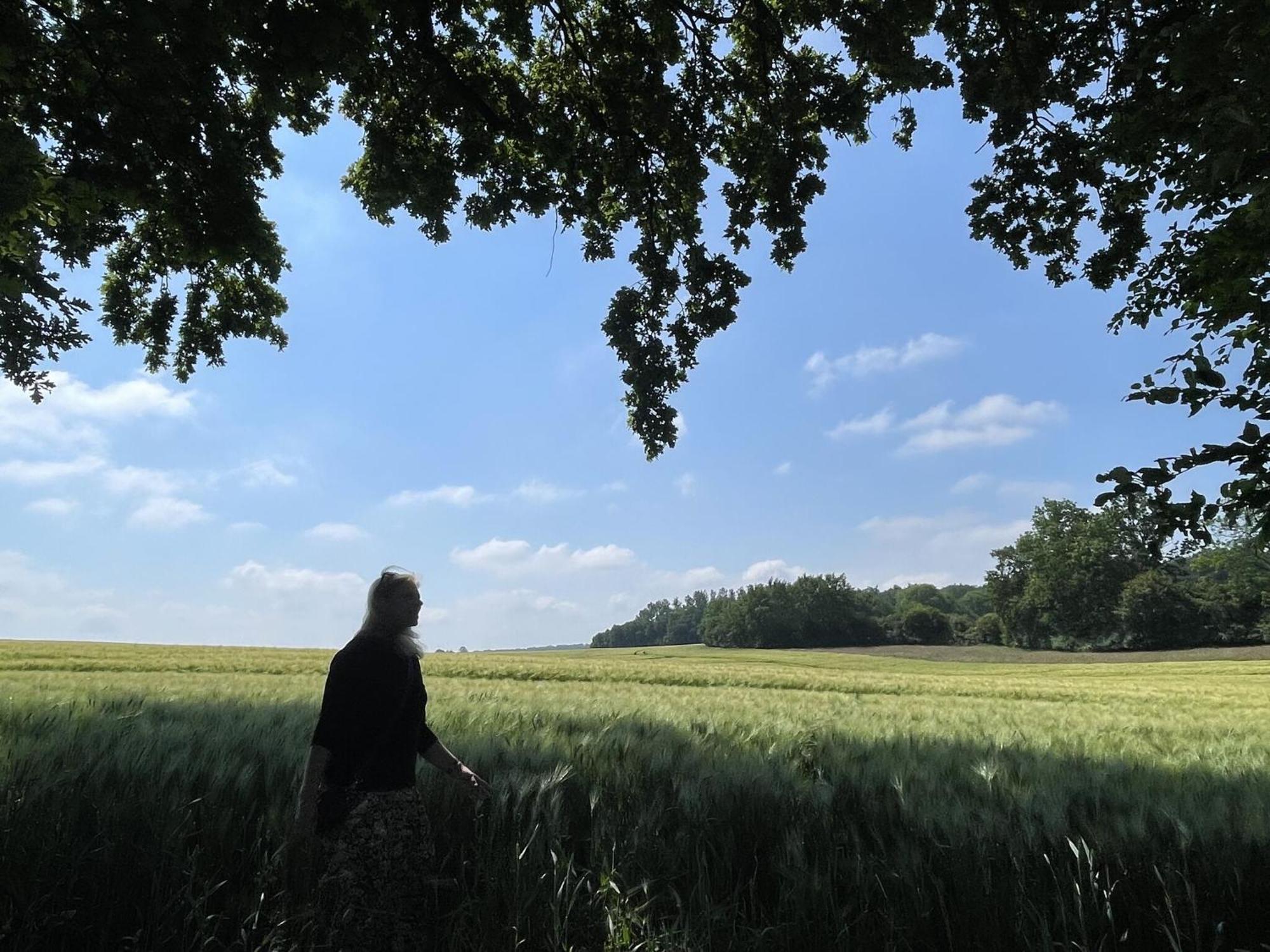 Flat In Eutin On The Kleiner Eutiner See Lake المظهر الخارجي الصورة