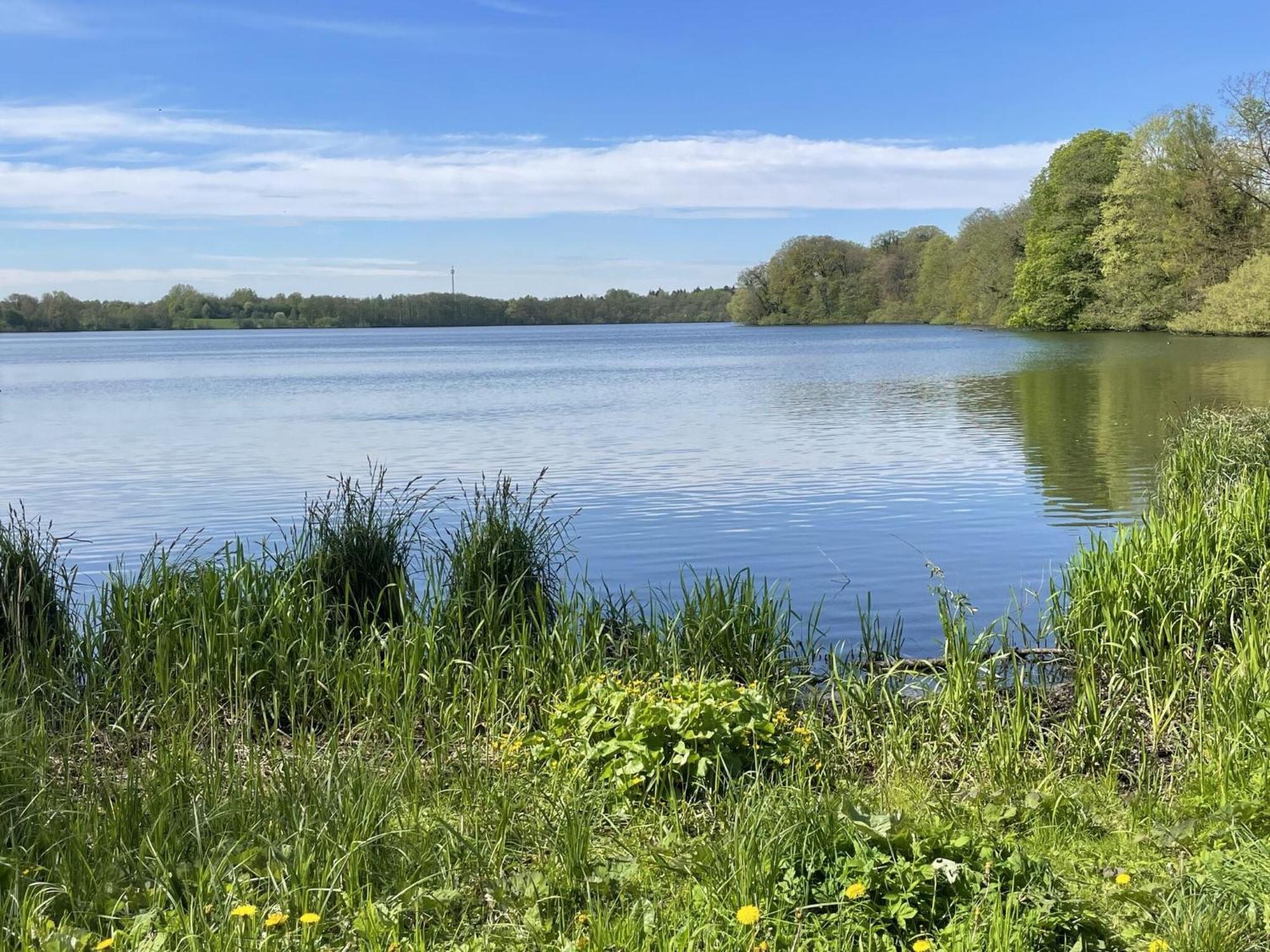 Flat In Eutin On The Kleiner Eutiner See Lake المظهر الخارجي الصورة